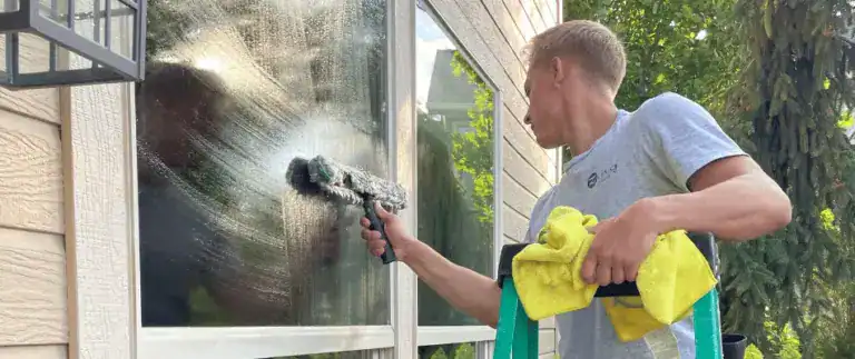 Winow cleaning services